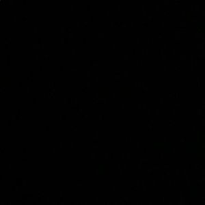 Meet your Posher, Elle